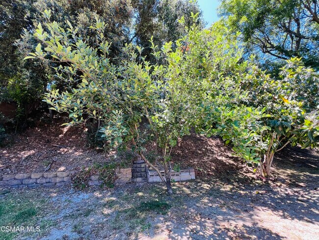 Building Photo - 1287 Knollwood Dr