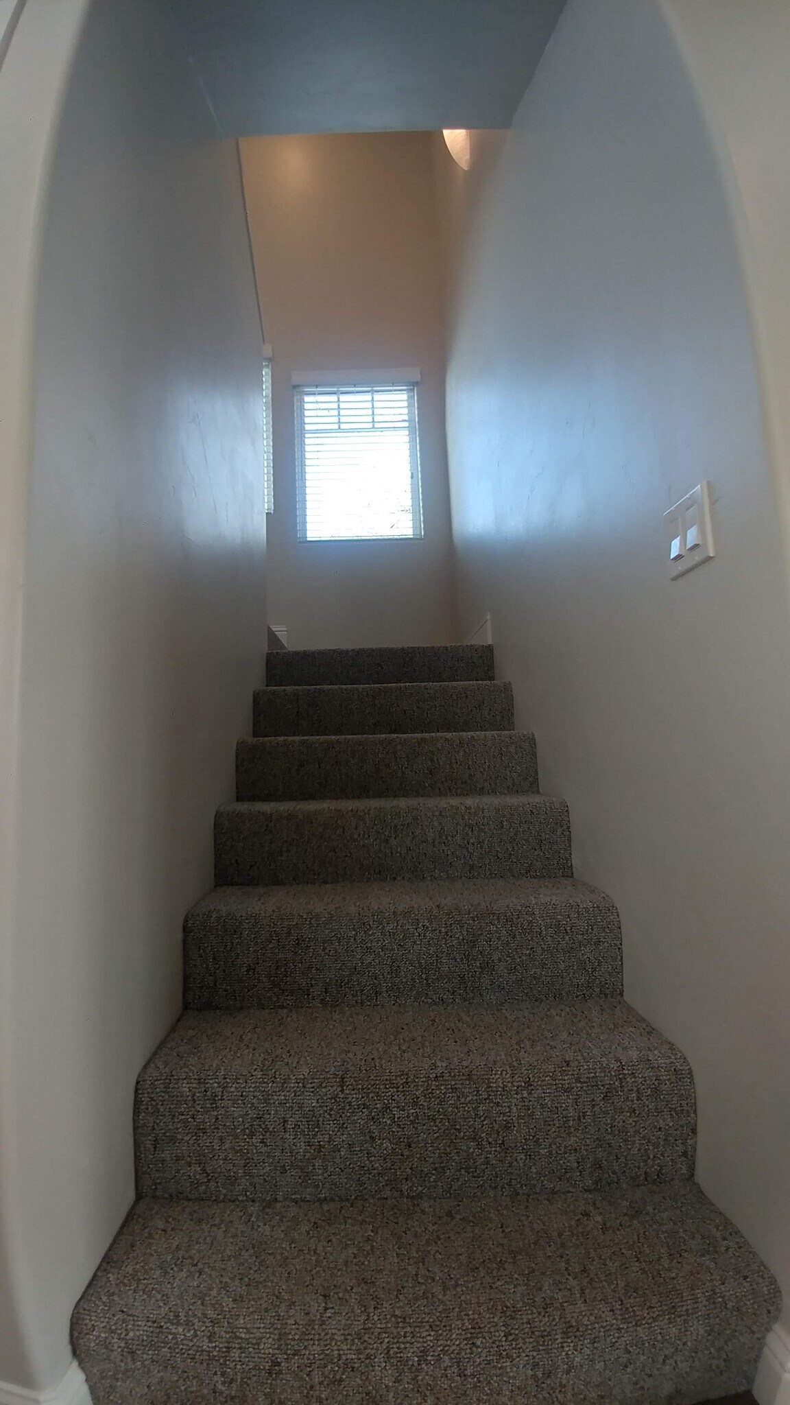 Stairs - 126 Cowell St