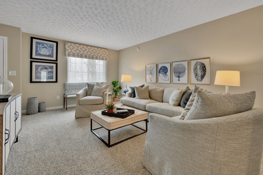 Primary Photo - Sawmill Ravine