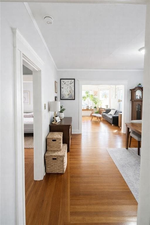 Building Photo - 22 Mayflower St