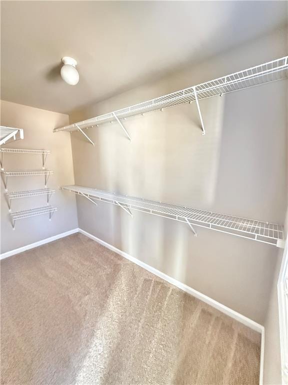 Building Photo - 3616 Archgate Ct