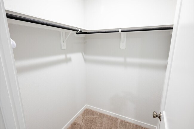 Building Photo - 211 Brazen Forest Trl