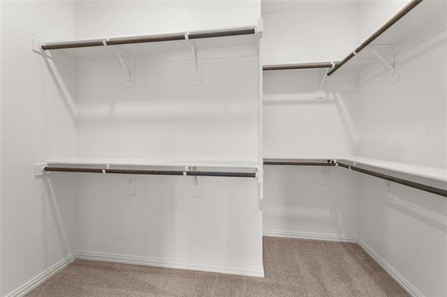 Building Photo - 6904 Gorman Fls Trl