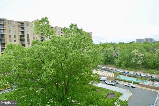 Building Photo - 4600 S Four Mile Run Dr