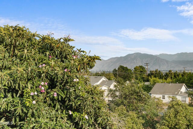 Building Photo - 2102 Buena Vista Dr