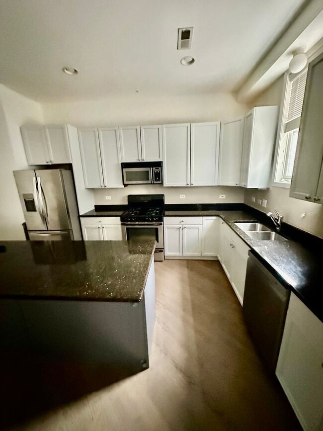 Building Photo - Huge 2 Bed 2 Bath New Construction Garden Condo in Rogers Park