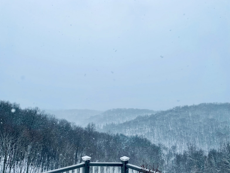 Building Photo - 110 Curtis Ct