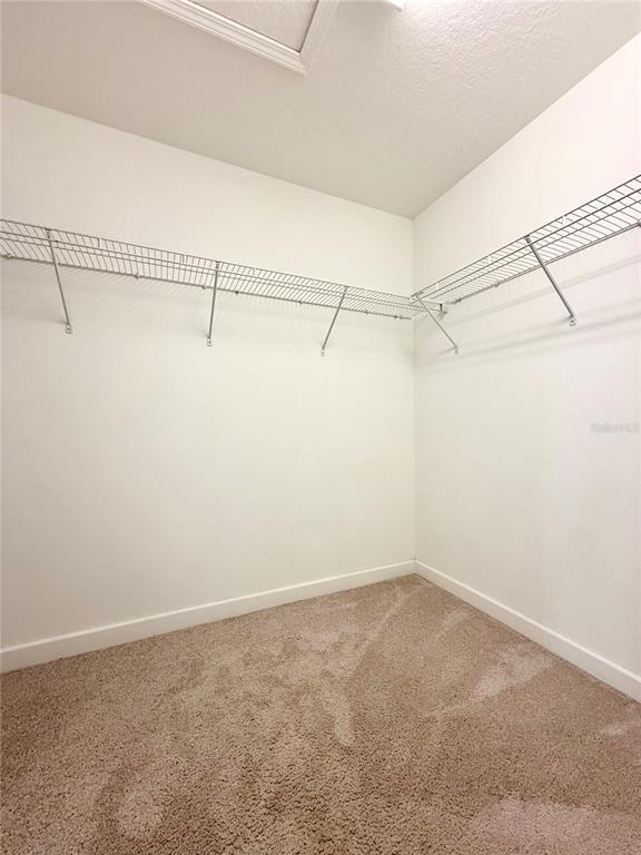 Building Photo - 3192 Calvano Dr