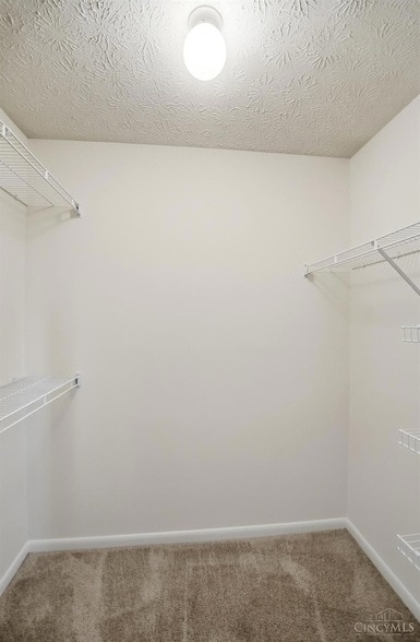 Building Photo - 8515 Island Pines Pl