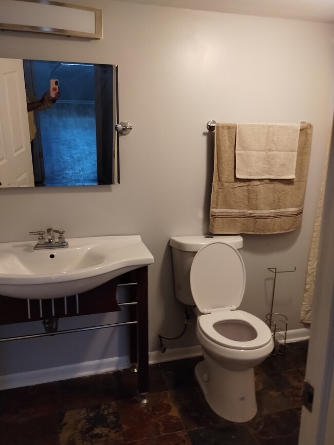 Lower level Full Bath - 4233 S Prairie Ave