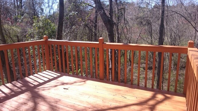 Deck - 715 Beaver Run Trce