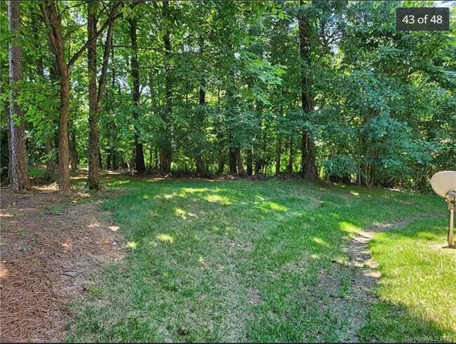 Plenty of Shade in the Backyard - 9906 Birch Knoll Ct