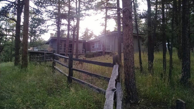 Building Photo - Lovely Ranch Style Home in Evergreen's Hiw...