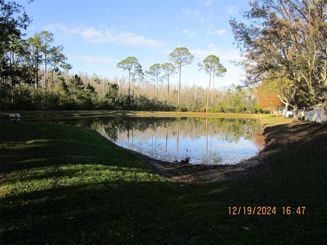 Building Photo - 12229 Luftburrow Ln