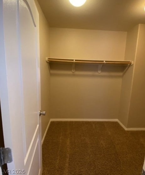 Building Photo - 10622 S Cactus Brush Ct