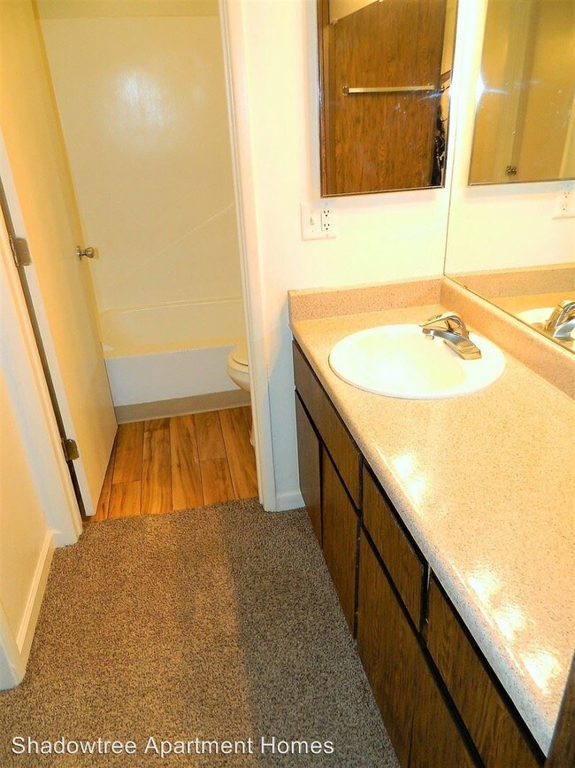 201 N Wilmot Rd 201 N Wilmot Rd Tucson AZ 85711 Apartment Finder