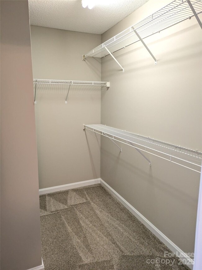 Building Photo - 329 Cedarcroft Dr