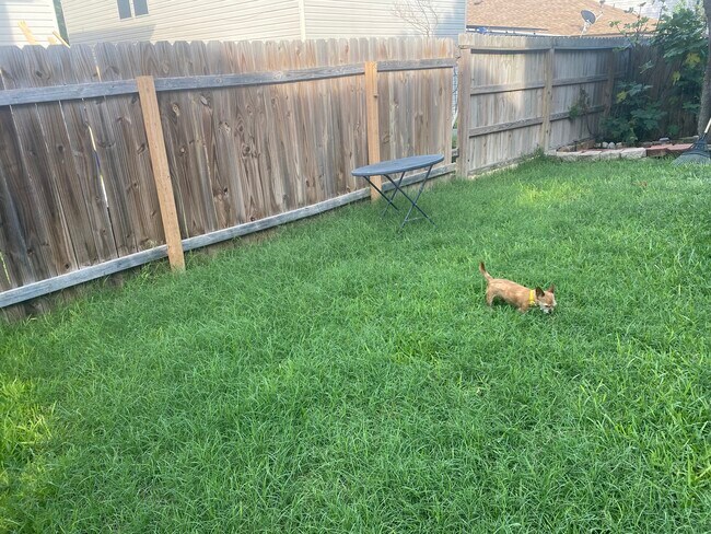 Building Photo - 2219 Boxer Palm