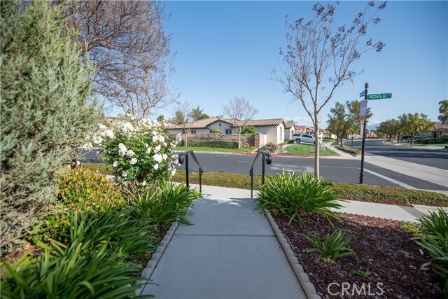 Building Photo - 7255 Roselai Ct
