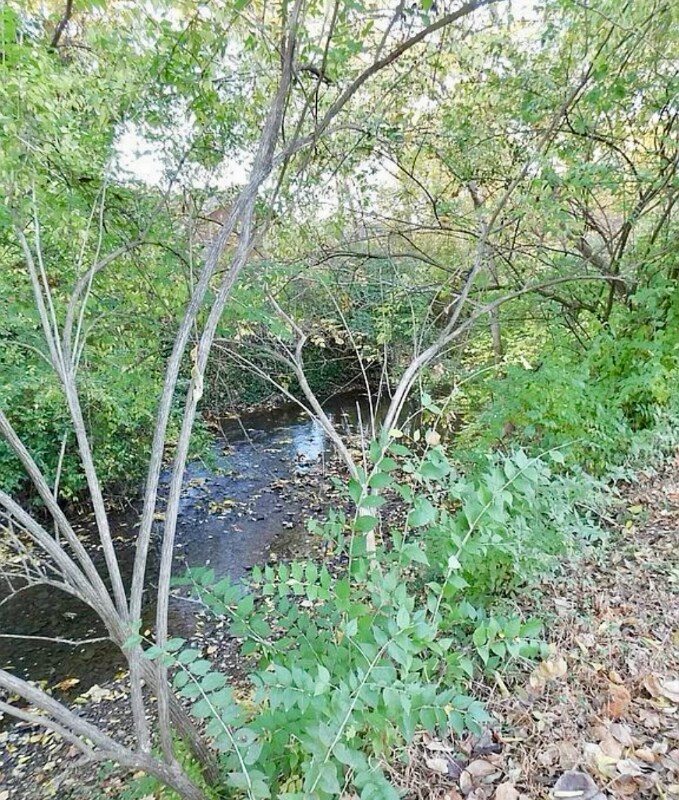 Building Photo - 105 Freeman Green Dr