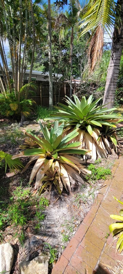 Building Photo - 2 BEDROOM 2 BATH HOME -ST. PETERSBURG - MO...