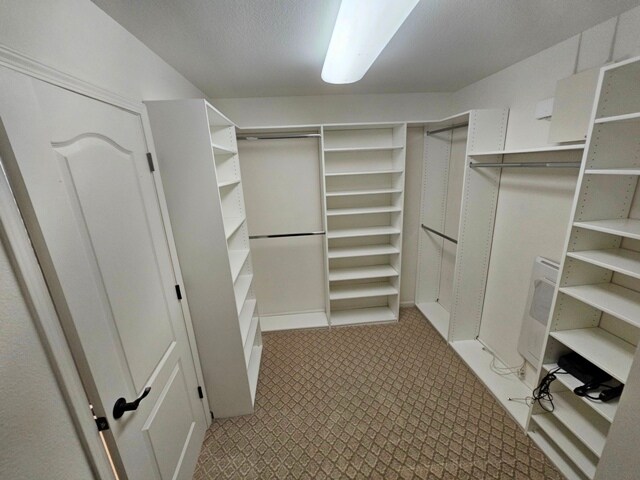 Building Photo - 2706 Chuckwagon Ln