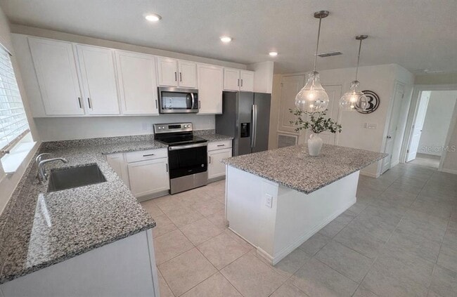 Building Photo - 433 Summer Grv Ln