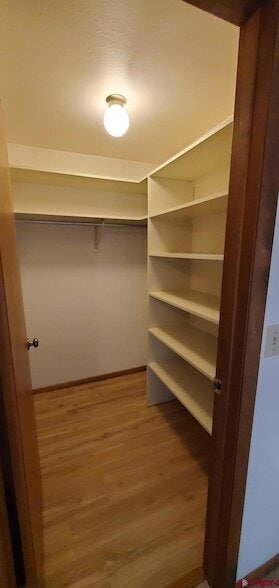 Building Photo - 2305 Pelota Dr