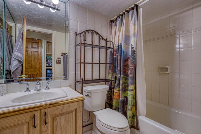 Building Photo - 1063 Vail View Dr