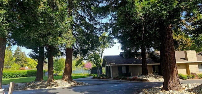 Building Photo - 2042 University Park Dr