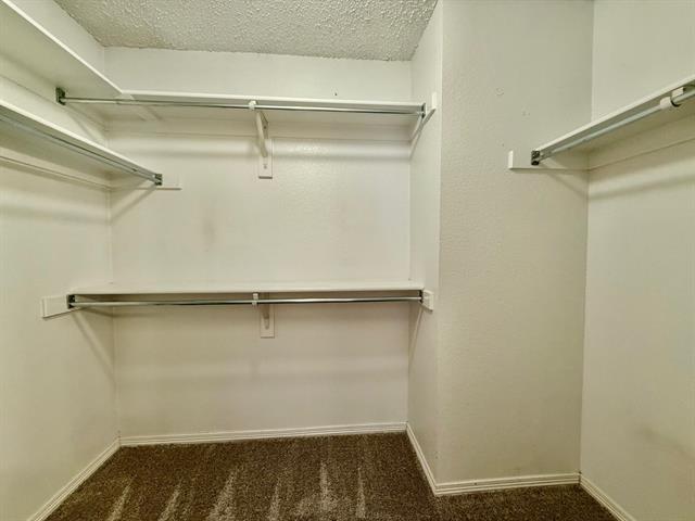 Building Photo - 3900 Braxton Ln