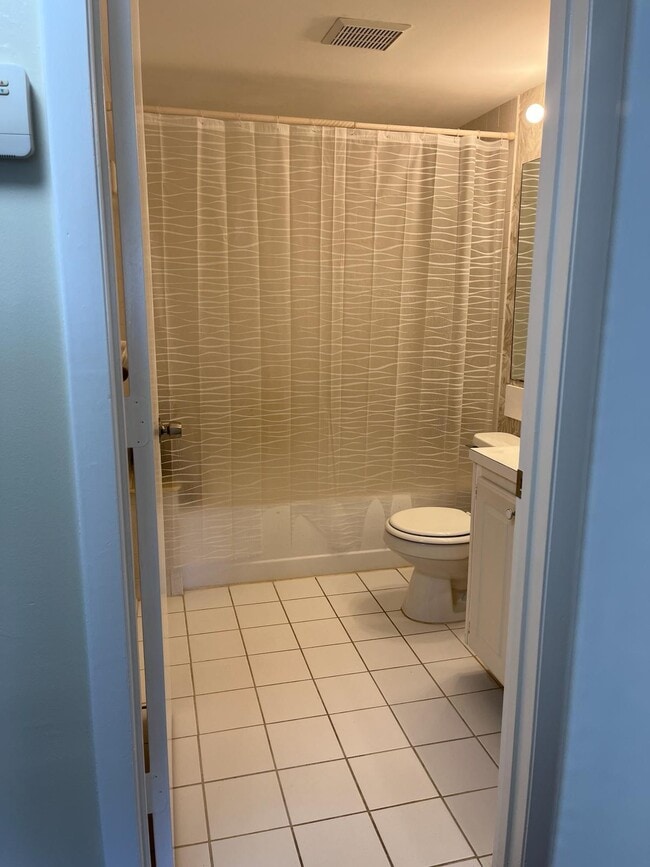 Guest Bathroom - 1002 Green Pine Blvd