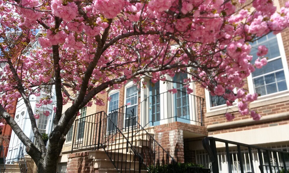 Elegant Entrance - 236 Maryland Ave NE