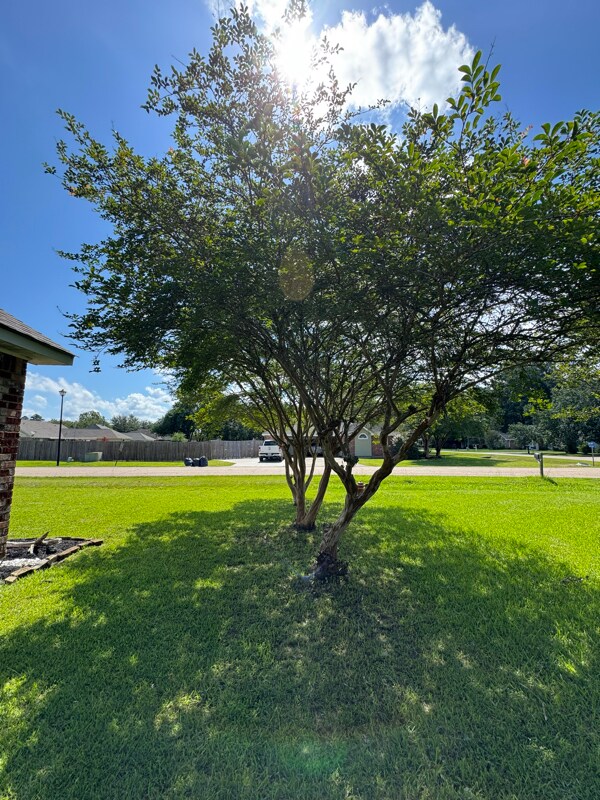Building Photo - 30551 Oak Crest Rd