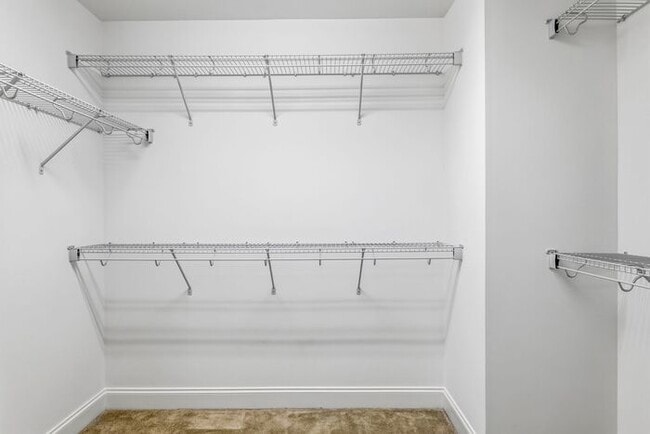 Building Photo - 5 Bedrooms in the heart of Summerfield!