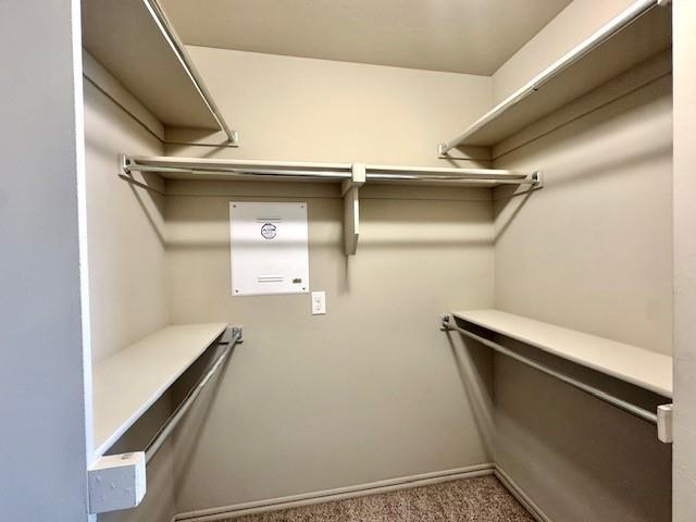 Building Photo - 3509 Slate River Dr