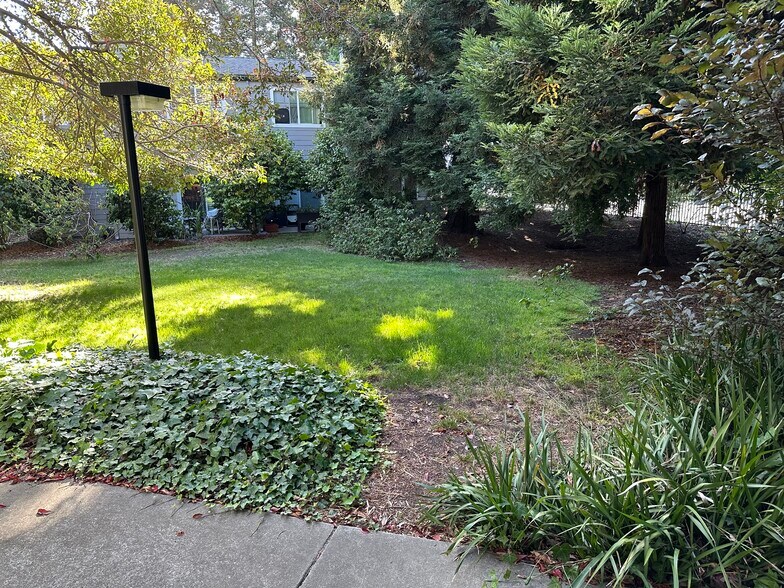 Shared backyard - 137 Temescal Cir