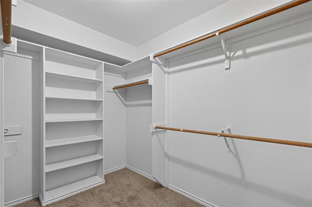 Building Photo - 2704 Picasso Pl