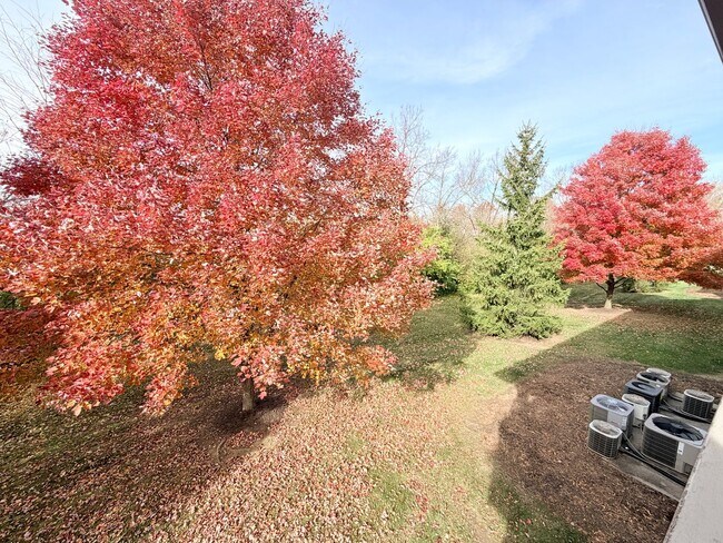 Building Photo - Approved Application w/ Hold ... No Longer Accepting Applications at this Time.