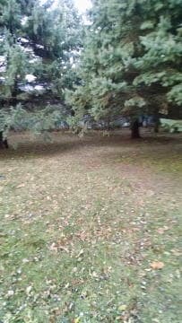 Building Photo - 1120 Northwood Dr N