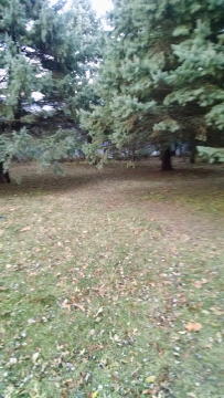 Building Photo - 1120 Northwood Dr N