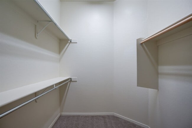 Building Photo - 3 bed 2 bath home for Rent in Quailwood!