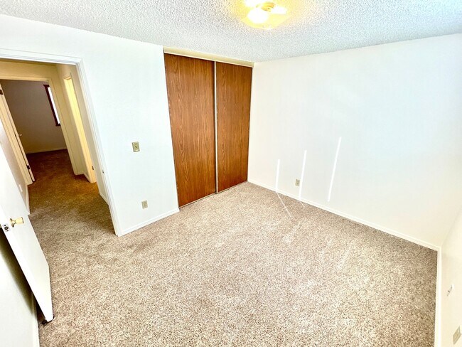 Building Photo - 3047 Kane St