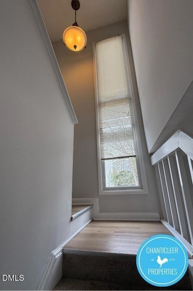 Building Photo - 7314 Sandy Creek Dr