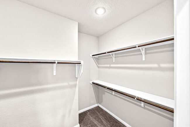 Building Photo - A Bright and Spacious Home Designed for Comfort and Everyday Living