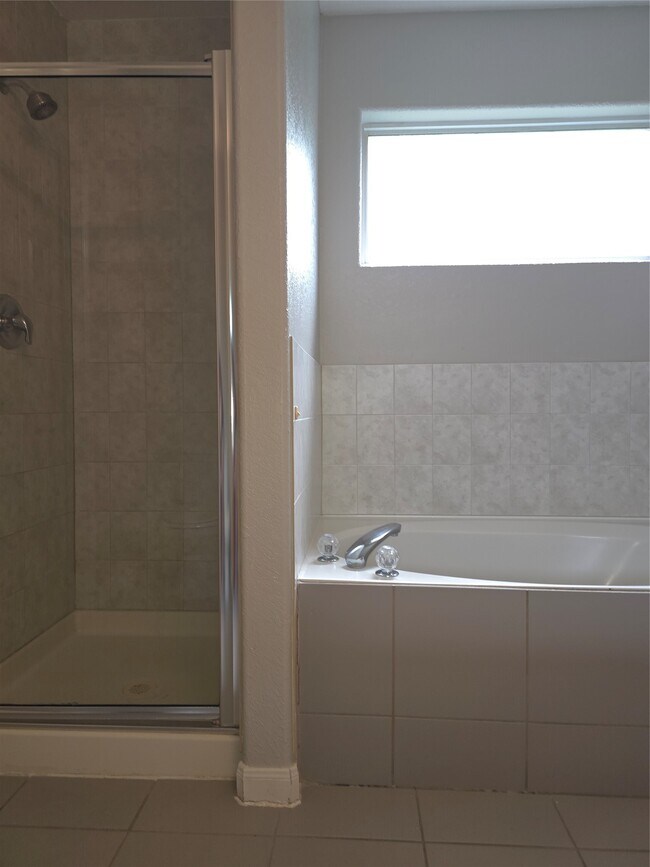 Building Photo - 11114 Opatrny Meadows Ln