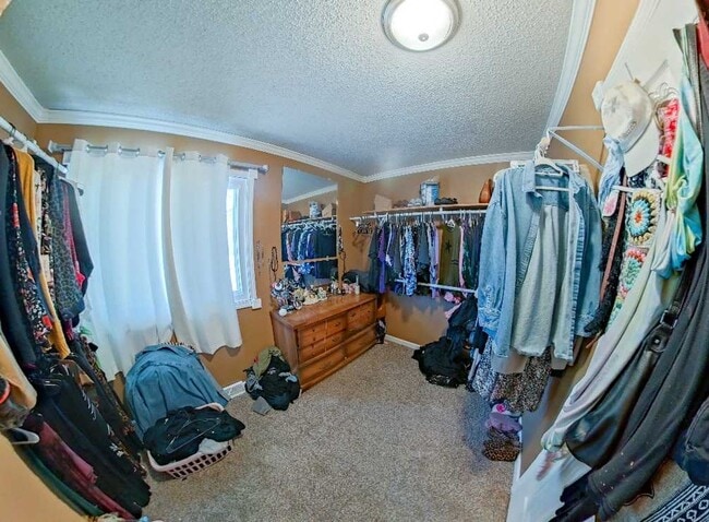 Building Photo - Fenced-in Yard + Finished Basement + Bonus Room/Office! Available July 3rd!