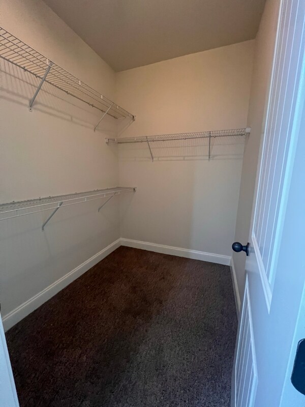 Building Photo - 5307 Endurance Ln