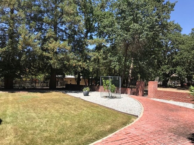 Building Photo - Beautiful updated single level S. Walnut Creek home with large yard