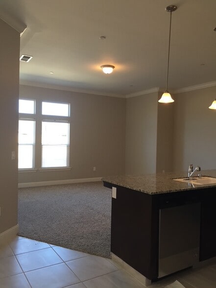 Living Room - 4379 Sibley Pl